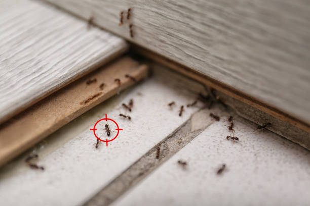 Best Pest Control Cost  in Crawfordsville, IN