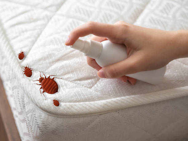 Best Wasp Removal Services  in Crawfordsville, IN